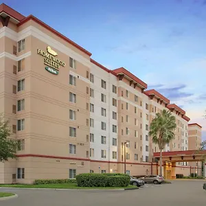 Homewood By Hilton Tampa-brandon Hotel Tampa